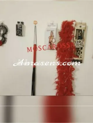 3513939741 - Escort Mistress Cuneo