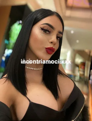 3533022204 - Novita Trans Valeria Attiva Passiva, Preliminari