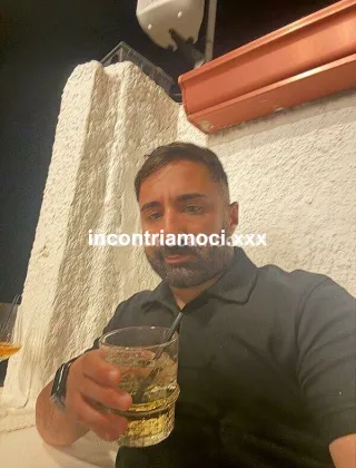 3894420679 - Giovane Toro Pugliese