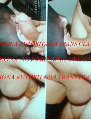 3402139540 - Trans Mistress Catanzaro