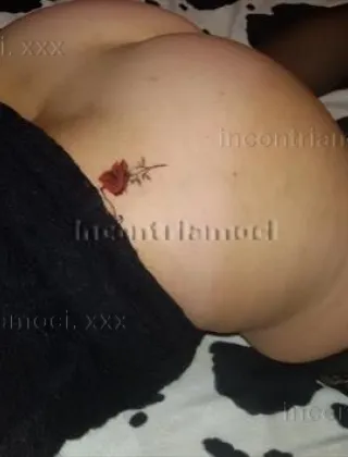 3510554468 - Completissima 3510554468