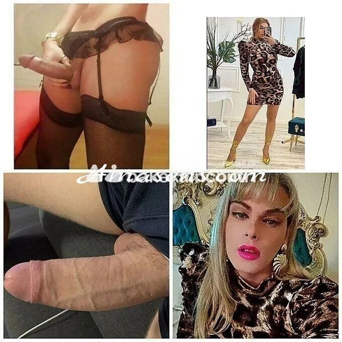 Gattina Nuova