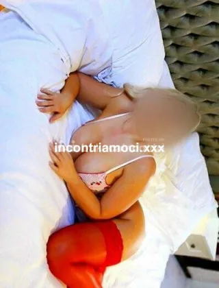 3484526065 - Novita Porca Dell Est Regina Del Lato B ?No