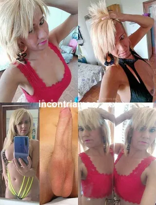 3756175899 - ?? Vicino Esselunga Sabrina Trans?? Eleganza,