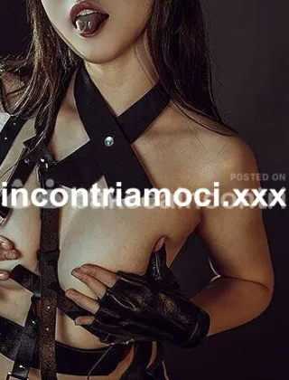 3393395788 - Casale Monferrato Oggi Nuova Nuova Foto Reali 100%